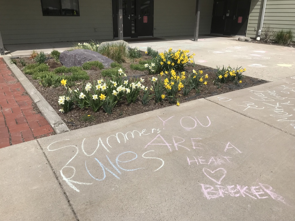 sidewalk chalk and flowers