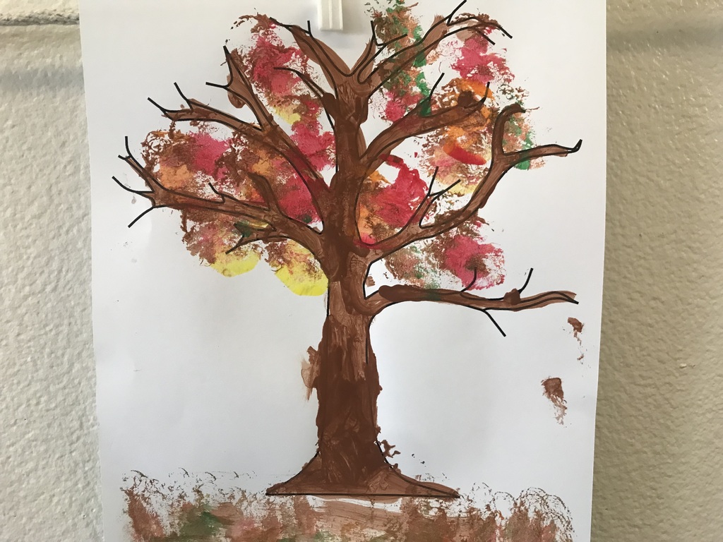fall foliage