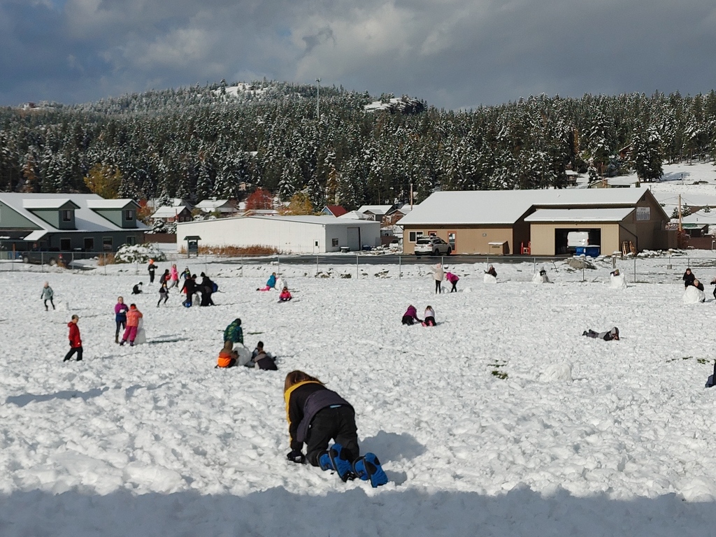 children playing in the snow