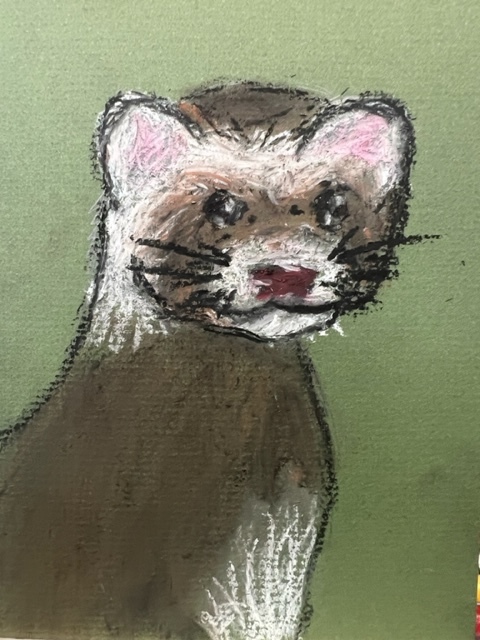 ferret painting